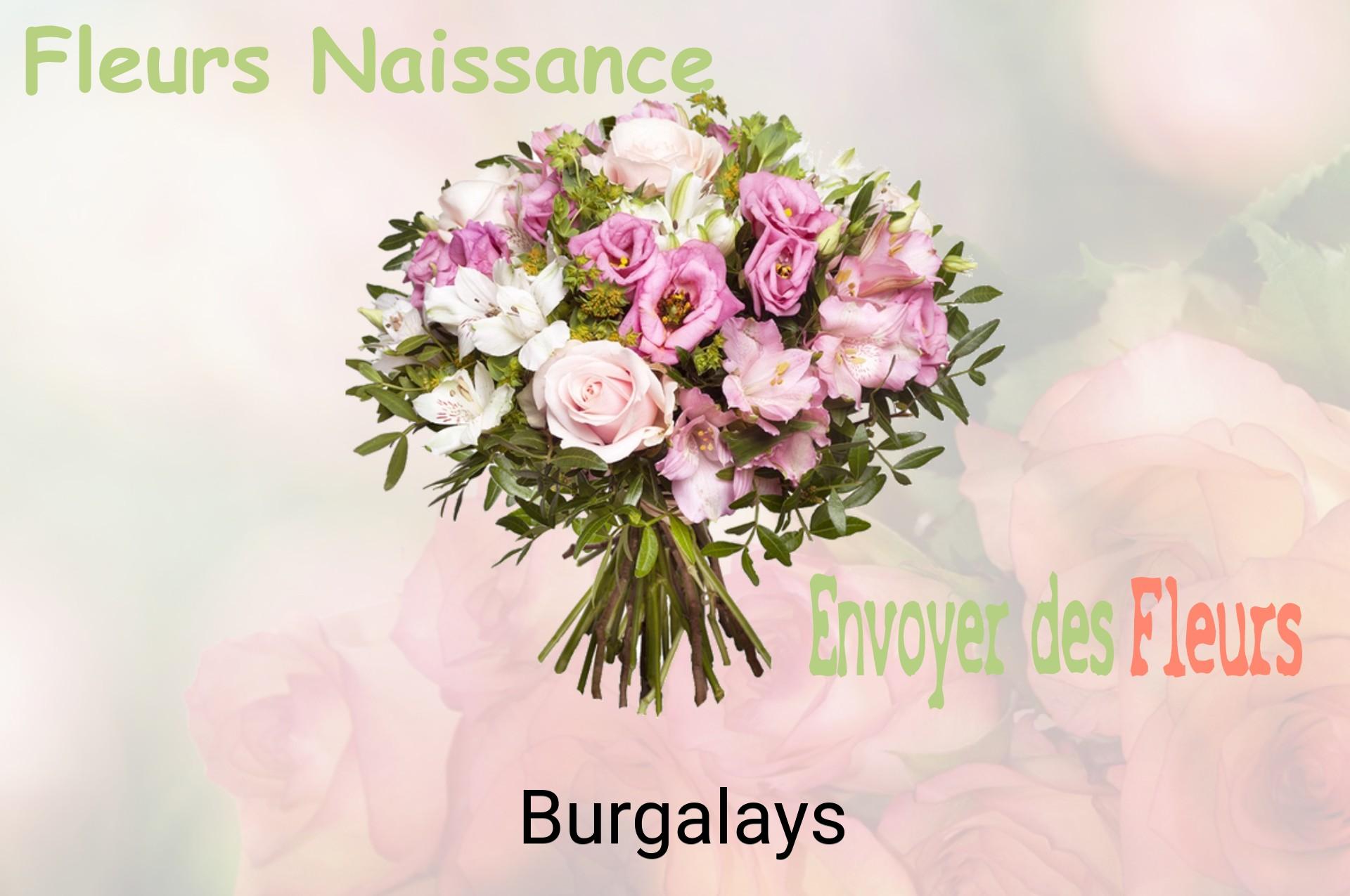 Bouquet de fleurs de naissance livré à Burgalays