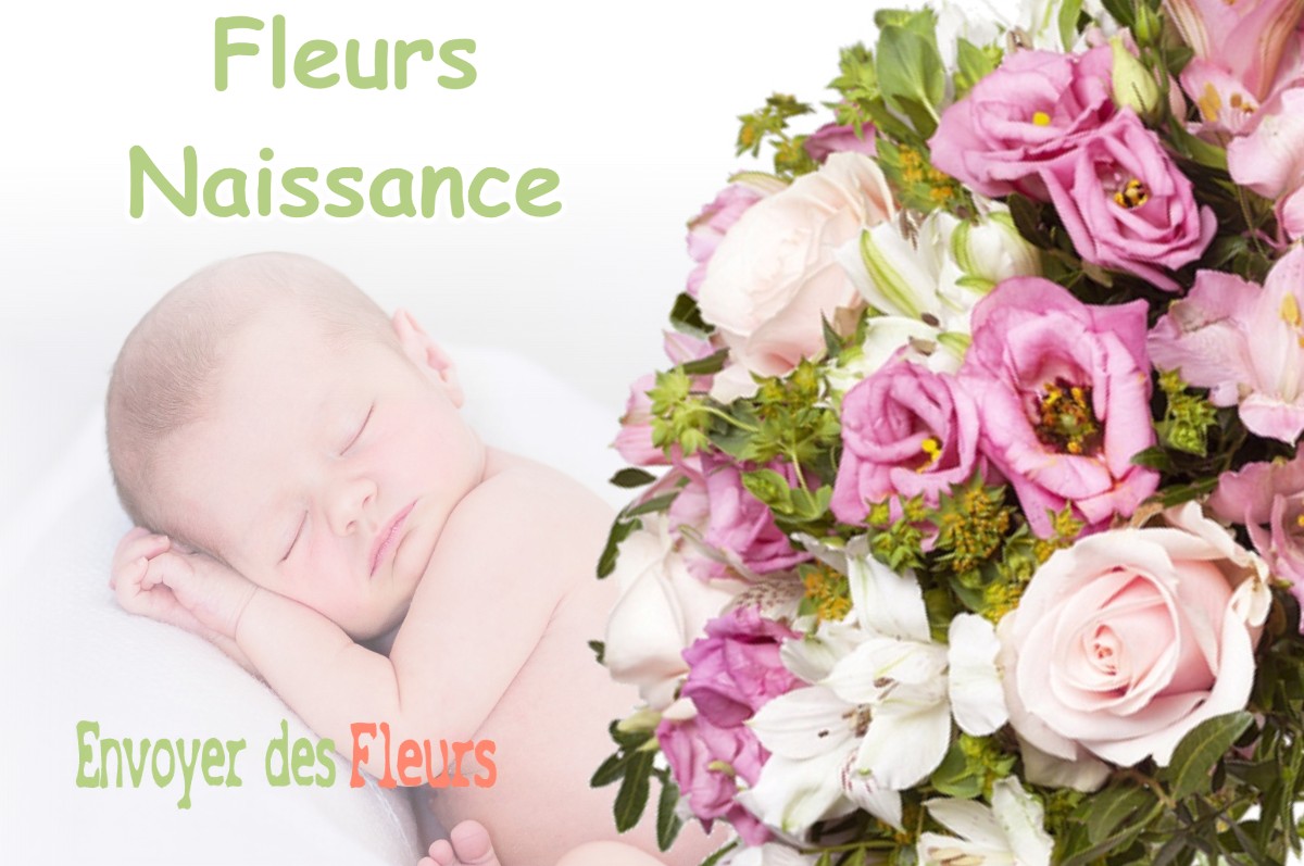 lIVRAISON FLEURS NAISSANCE à BURGALAYS